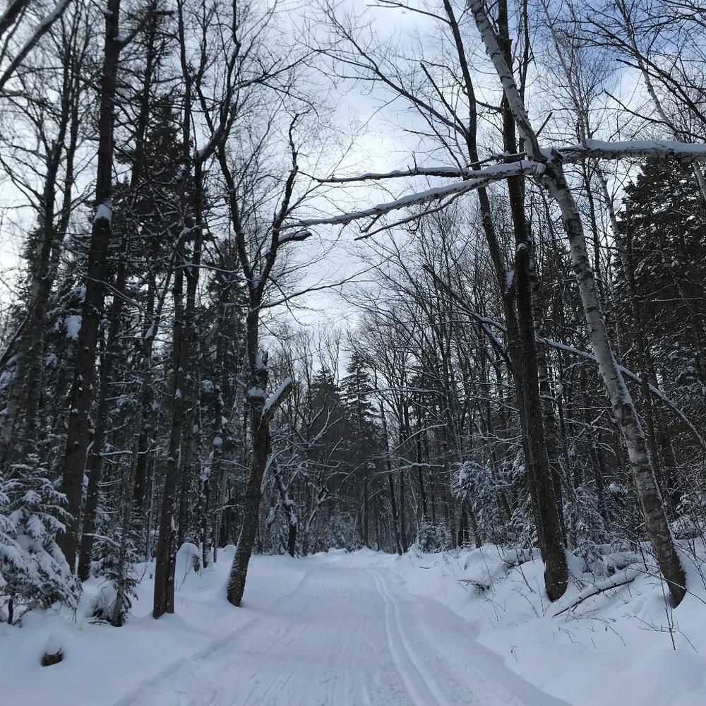 Meet your Posher, Nora